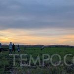 Subuh Sublim pada area Savana Tenau Pulau Sumba